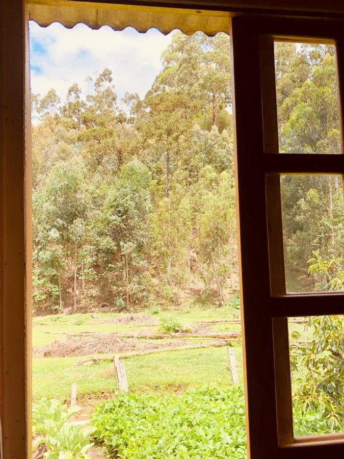 Casa Da Vo Adelina Daire Urubici Dış mekan fotoğraf